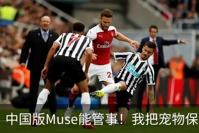 中国版Muse能管事！我把宠物保单、双11算价和周末旅行全交给了灵光2.0
