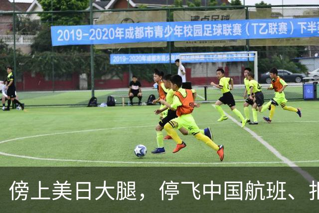 傍上美日大腿，停飞中国航班、拒绝中国游客的小国，如今怎样了？