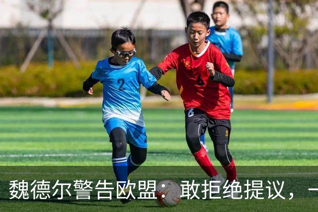 魏德尔警告欧盟：敢拒绝提议，一旦选择党上台，德国直接公投脱欧
